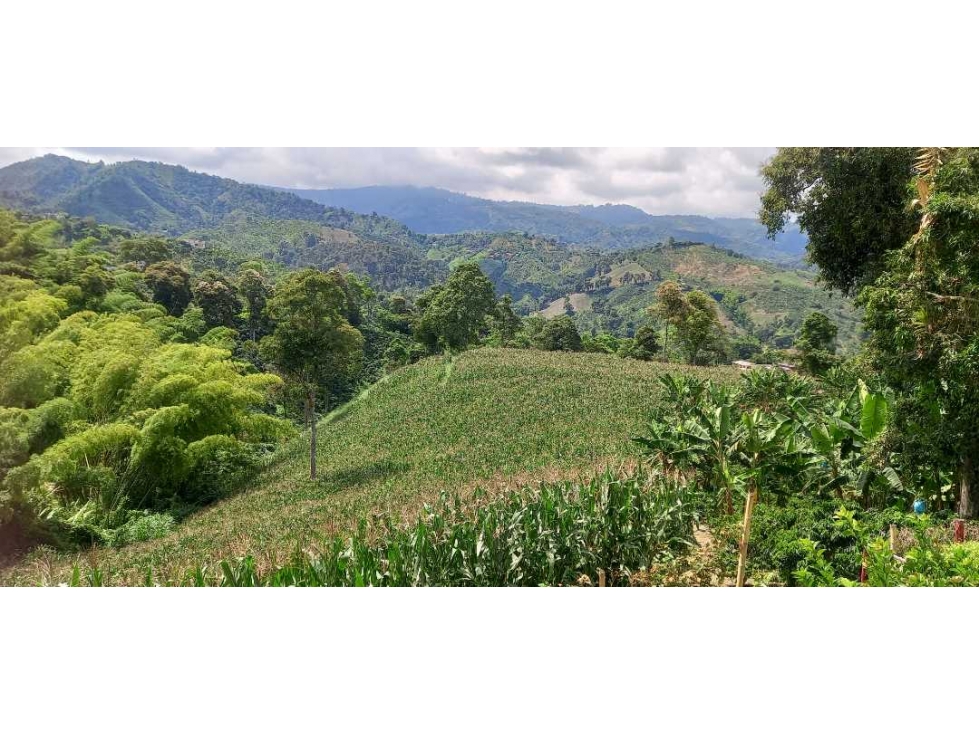 Vendo lotes en la cabaña desde 648 mt2 — foto 2