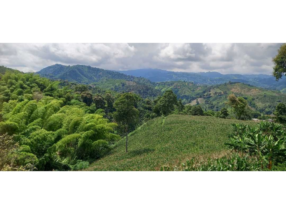 Vendo lotes en la cabaña desde 648 mt2 — foto 3