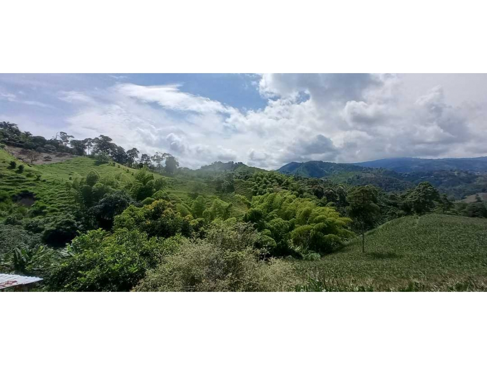 Vendo lotes en la cabaña desde 648 mt2 — foto 4