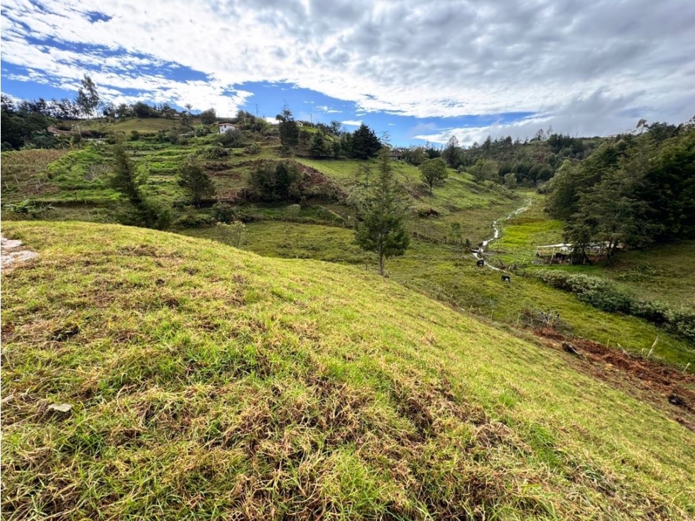 Vendo lotes en la vía a San Vicente de Ferrer