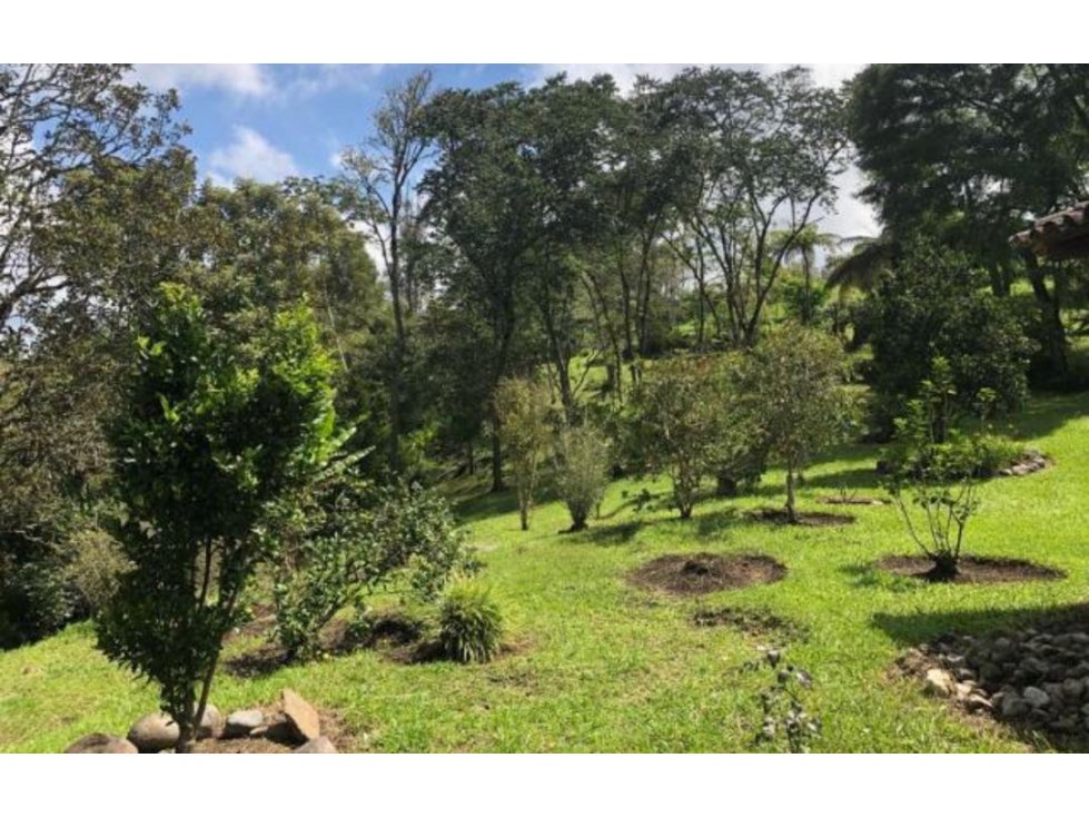 VENDO LOTE CON SERVICIOS PÚBLICOS, VEREDA LAS CRUCES TIMBIO CAUCA - 2
