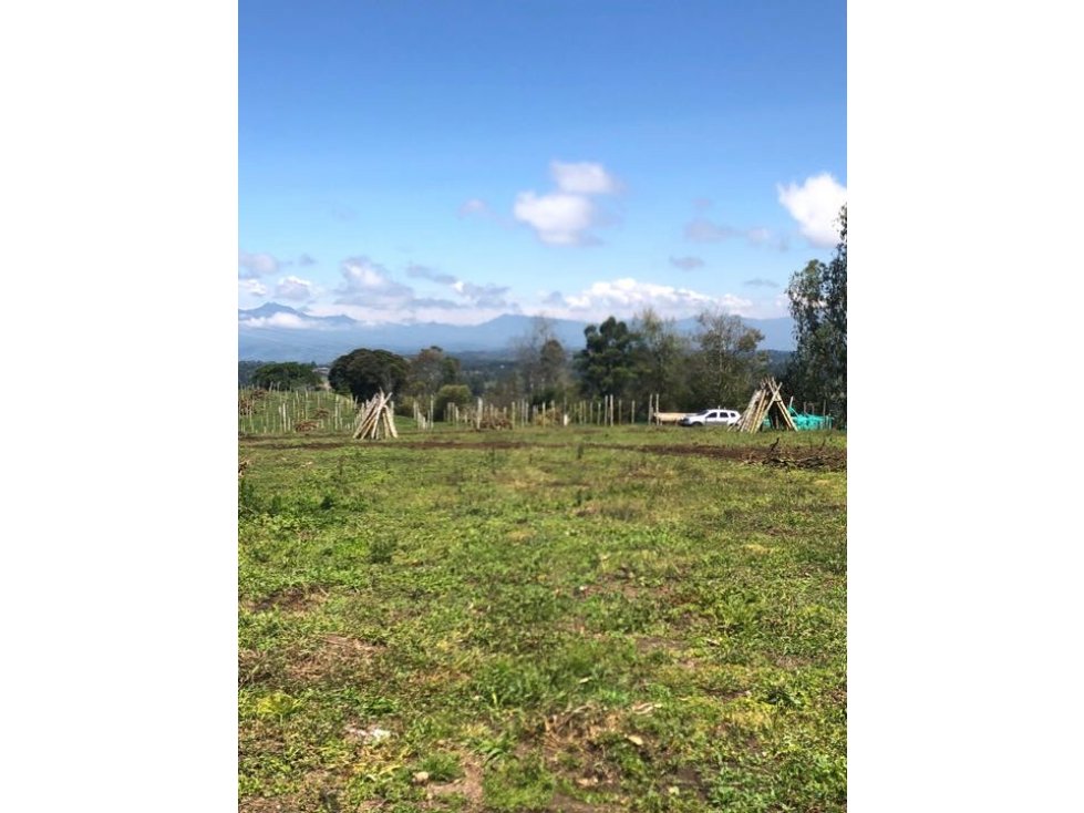 VENDO LOTE CON SERVICIOS PÚBLICOS, VEREDA LAS CRUCES TIMBIO CAUCA - 5