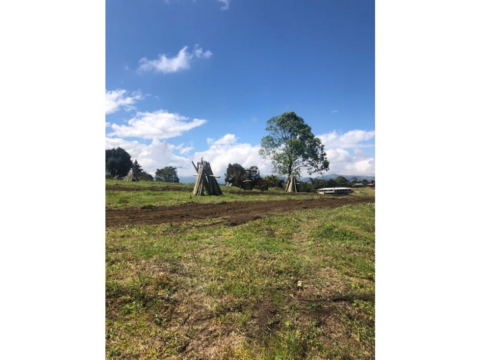 VENDO LOTE CON SERVICIOS PÚBLICOS, VEREDA LAS CRUCES TIMBIO CAUCA - 3