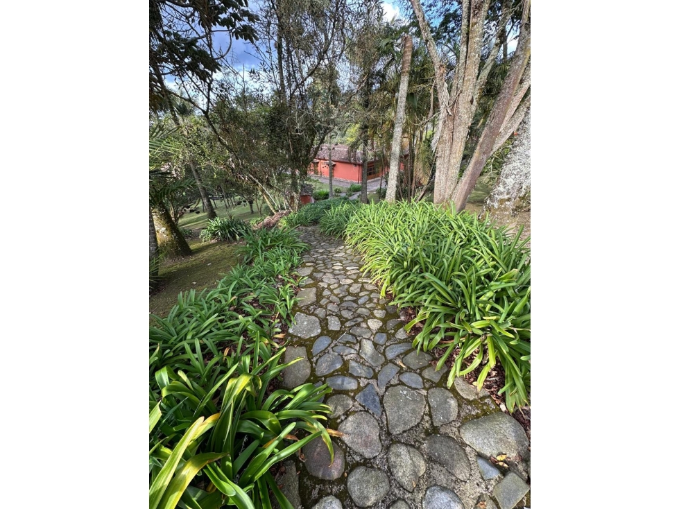 VENDO MARAVILLOSA FINCA EN LA CEJA-ANTIOQUIA — foto 3