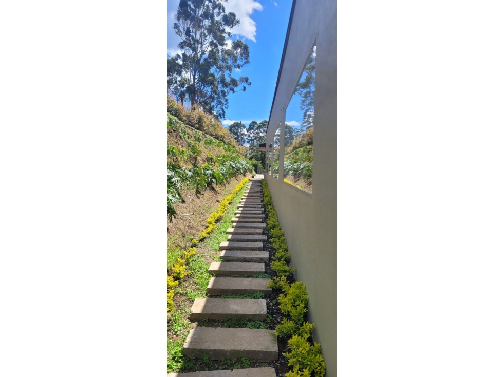 VENDO o ALQUILO FINCA EN SAN ANTONIO DE PEREIRA — foto 5