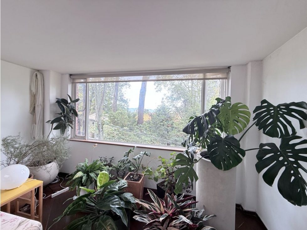 VENDO O ARRIENDO | Apartamento en bosque izquierdo — foto 3