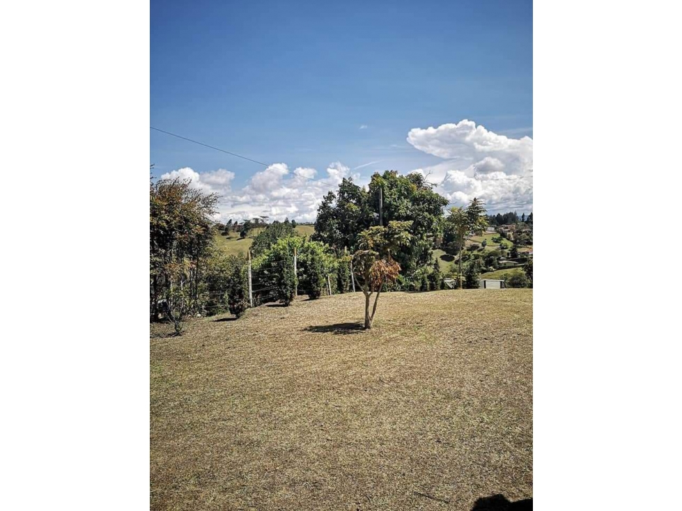 VENDO O PERMUTO FINCA EN RIONEGRO ANTIOQUIA — foto 3