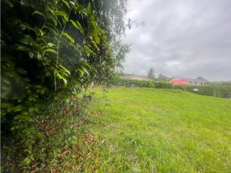 Vendo o permuto lote en Conjunto Melgar — foto 4