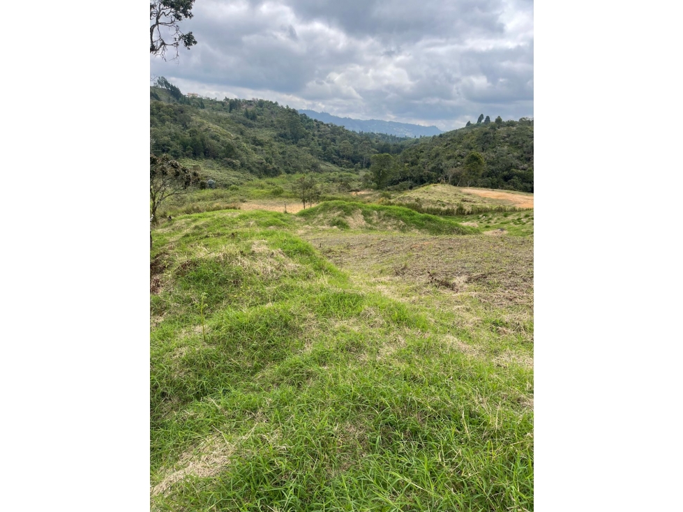 VENDO O PERMUTO LOTE LA MOSQUITA GUARNE