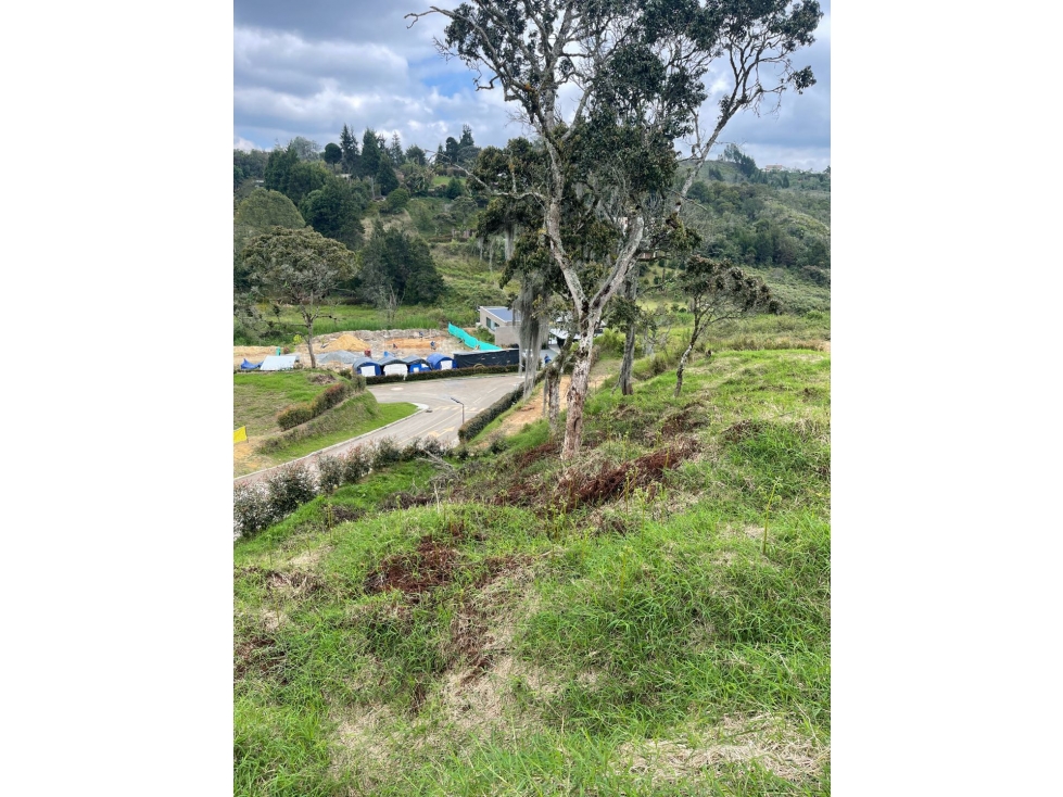 VENDO O PERMUTO LOTE LA MOSQUITA GUARNE — foto 3