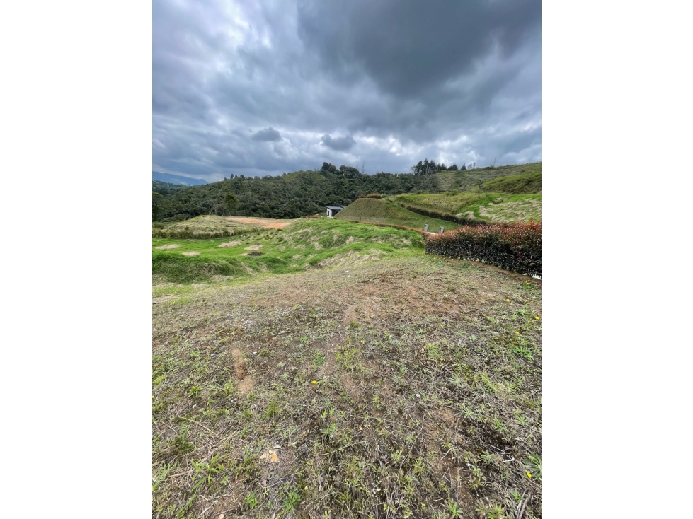 VENDO O PERMUTO LOTE LA MOSQUITA GUARNE — foto 5