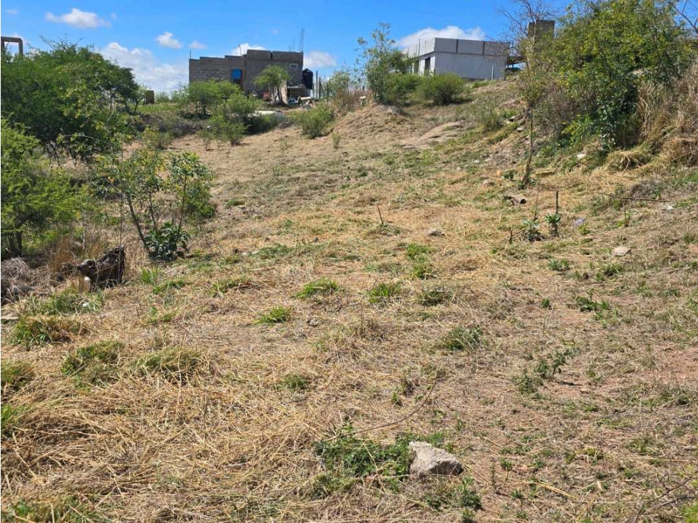 VENDO PERMUTO POR AUTO O CAMIONETA TERRENO ESTANCIA VIEJA - 1