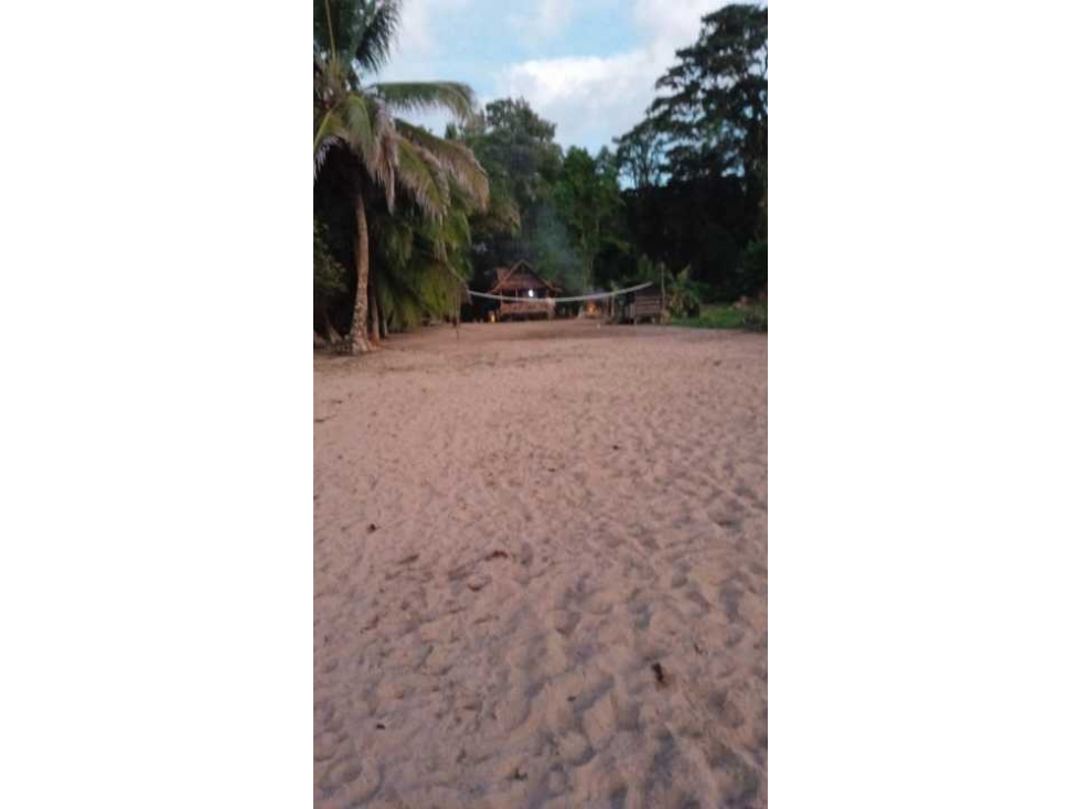 VENDO 20 HECTAREAS EN MIRAMAR CON PLAYA - 2