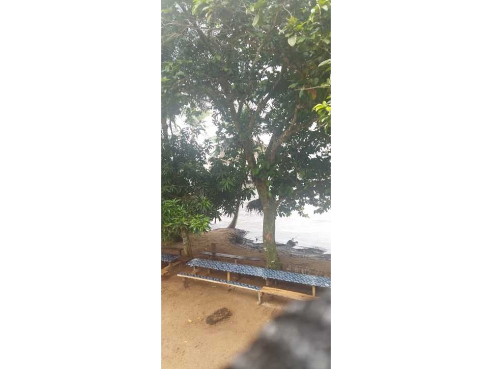 VENDO 20 HECTAREAS EN MIRAMAR CON PLAYA - 3