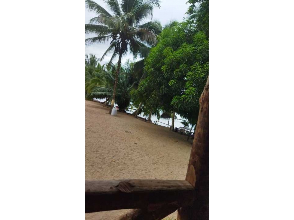 VENDO 20 HECTAREAS EN MIRAMAR CON PLAYA - 4