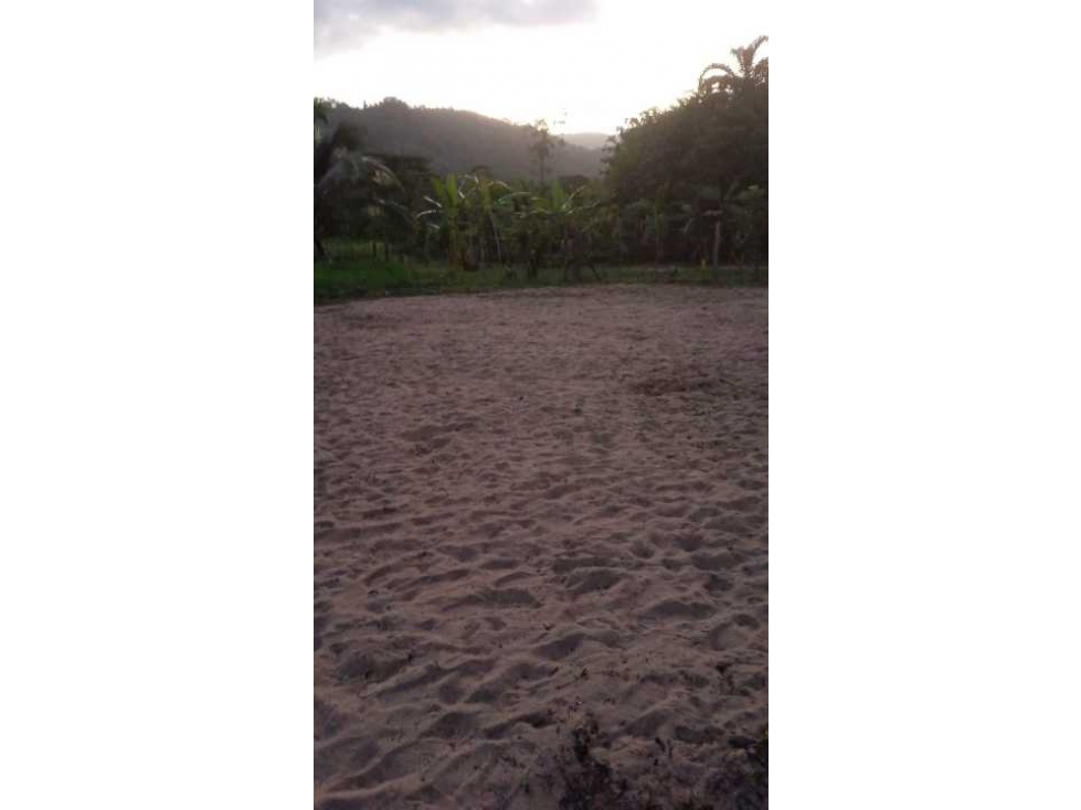 VENDO 20 HECTAREAS EN MIRAMAR CON PLAYA - 5