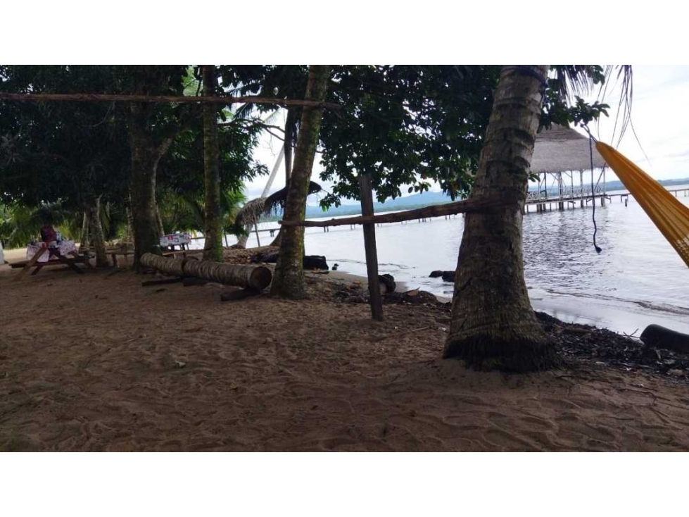 VENDO 20 HECTAREAS EN MIRAMAR CON PLAYA - 6