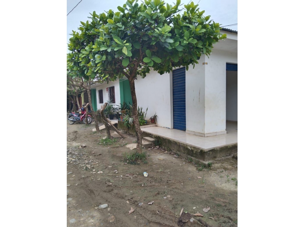 Gran oportunidad en San Pedro de Uraba - Propiedad Esquinera — foto 5