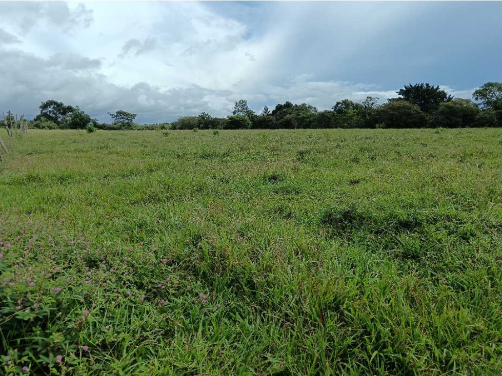 VENDO SEIS HECTAREAS POTRERILLOS ABAJO - 1