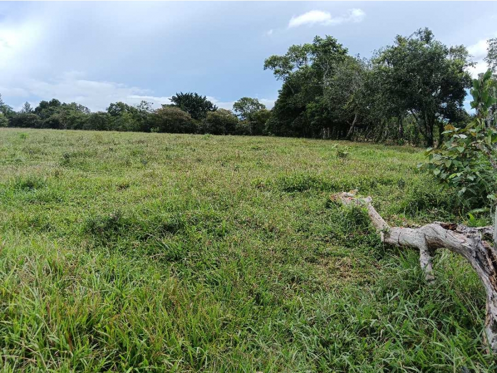 VENDO SEIS HECTAREAS POTRERILLOS ABAJO - 2