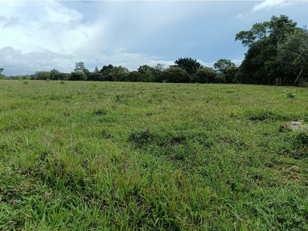 VENDO SEIS HECTAREAS POTRERILLOS ABAJO - 3