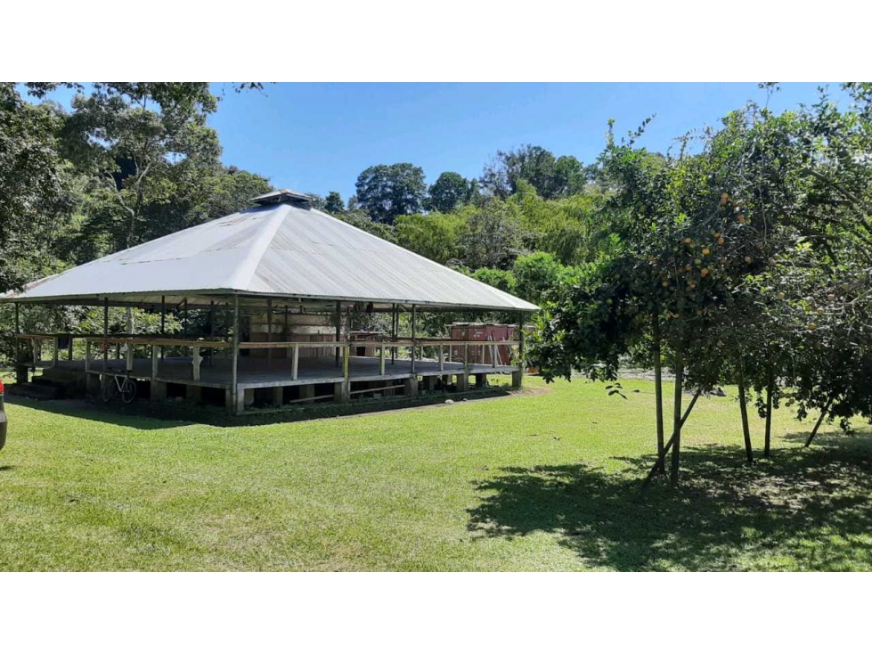 VENDO Seis Hectareas Sortova - 1