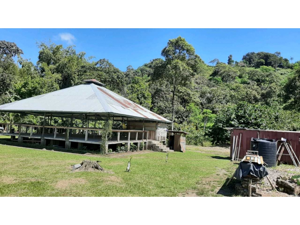 VENDO Seis Hectareas Sortova - 2