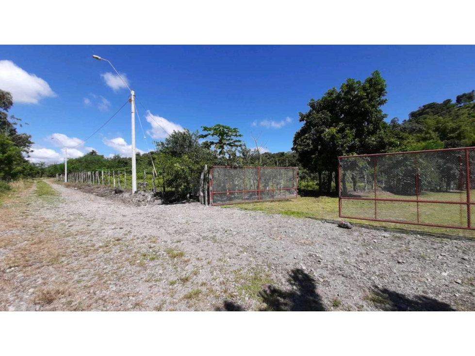 VENDO Seis Hectareas Sortova - 3