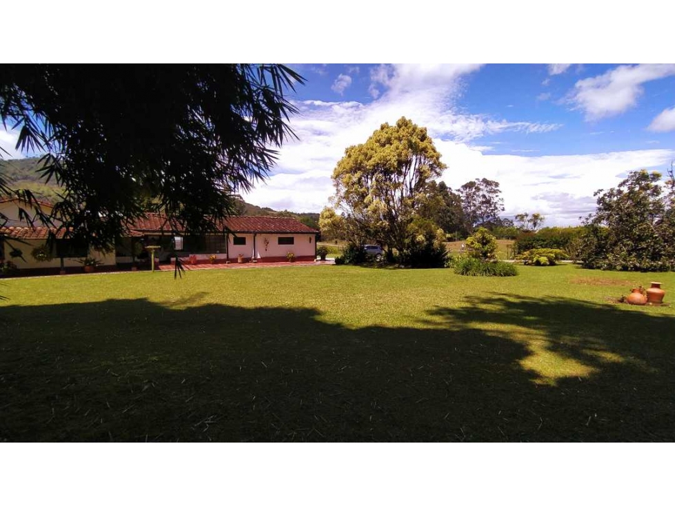 vendo sobre vía principal san Antonio de Pereira la Ceja — foto 6