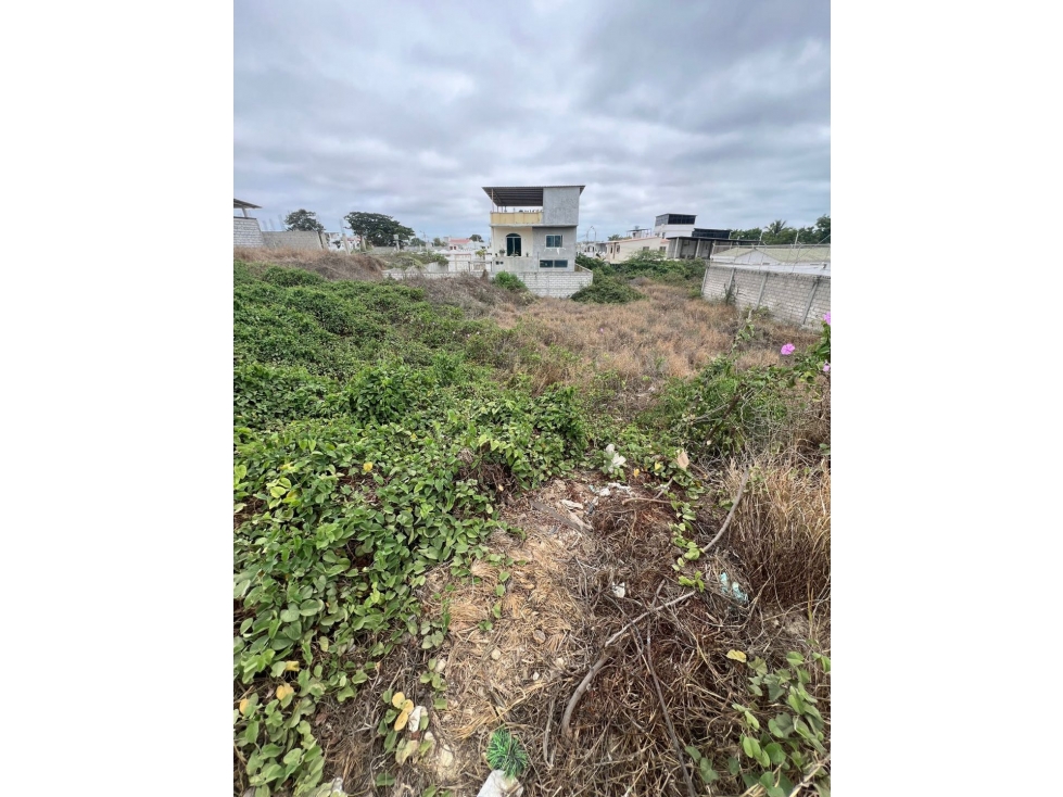 Vendo Terreno 500m2 sector Caracol Ballenita - 3