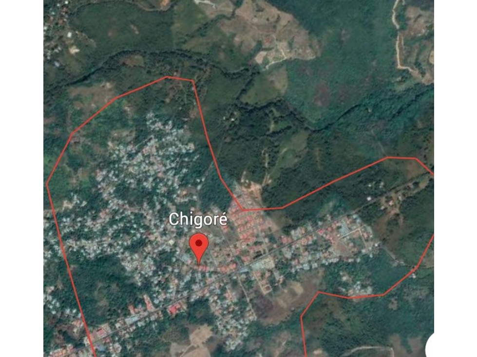 VENDO TERRENO 86.000 m2 - CHIGORÉ - PENONOMÉ