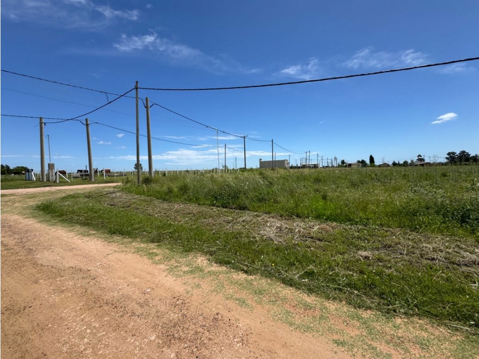 Vendo Terreno de 880 m2 en San Justo, Entre Ríos - 3