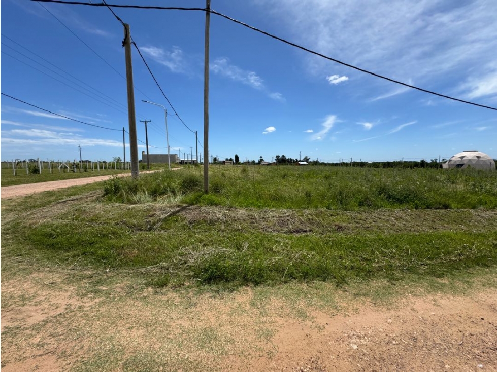 Vendo Terreno de 880 m2 en San Justo, Entre Ríos - 5