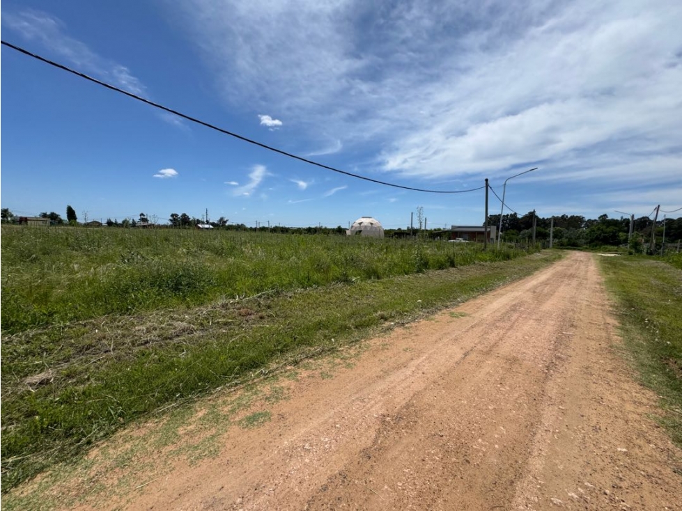 Vendo Terreno de 880 m2 en San Justo, Entre Ríos - 6