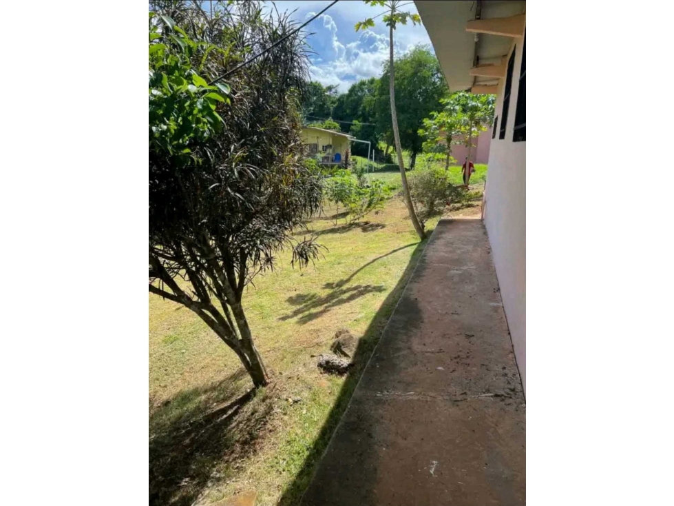 VENDO TERRENO CON DOS CASAS INCLUIDAS CHORRERA GUADALUPE - 6