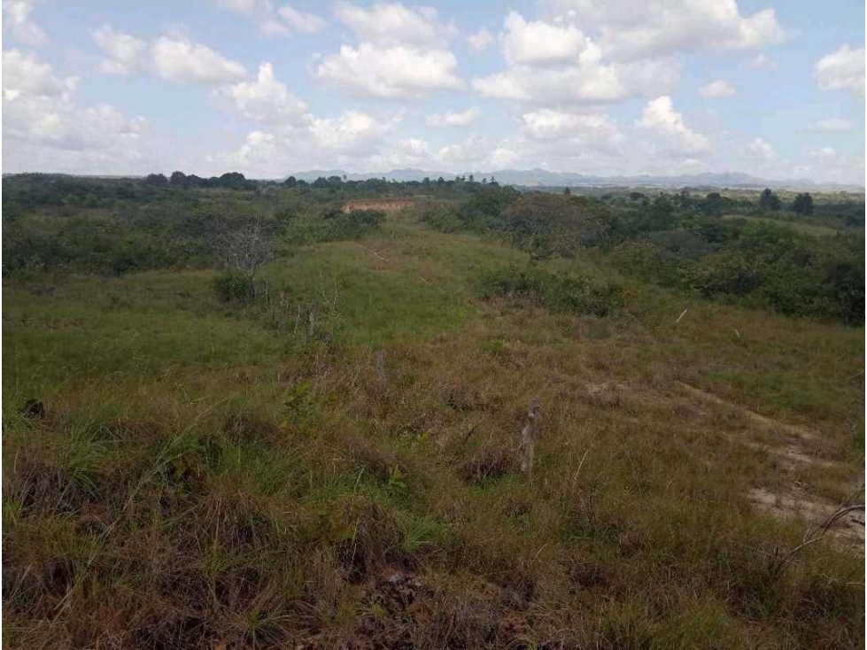 VENDO TERRENO CON VISTA LEJANA AL MAR Y A LA INDIA DORMIDA EN COCLE. - 1