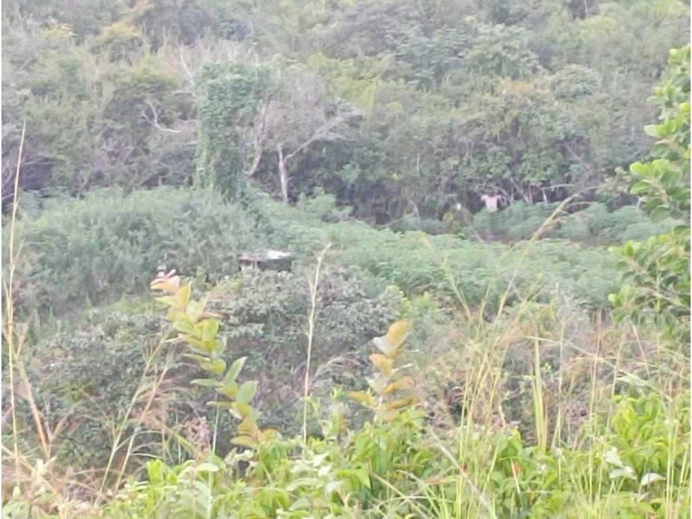 VENDO TERRENO CON VISTA LEJANA AL MAR Y A LA INDIA DORMIDA EN COCLE. - 2