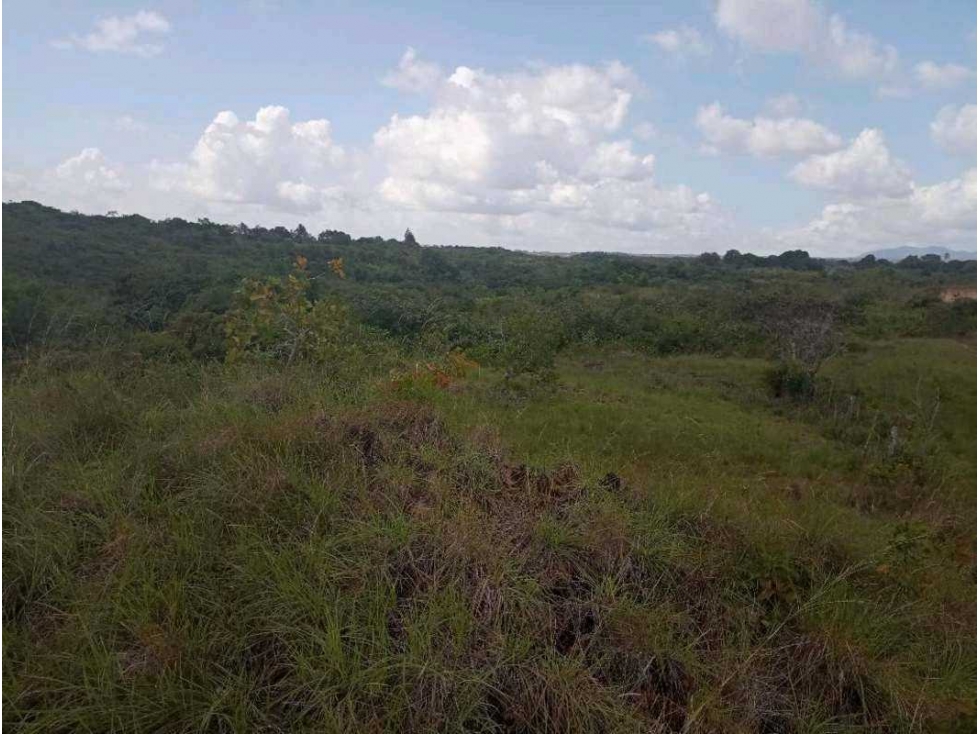 VENDO TERRENO CON VISTA LEJANA AL MAR Y A LA INDIA DORMIDA EN COCLE. - 3