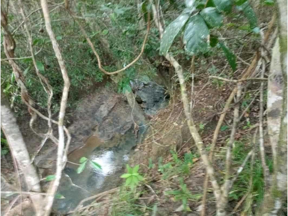 VENDO TERRENO CON VISTA LEJANA AL MAR Y A LA INDIA DORMIDA EN COCLE. - 4