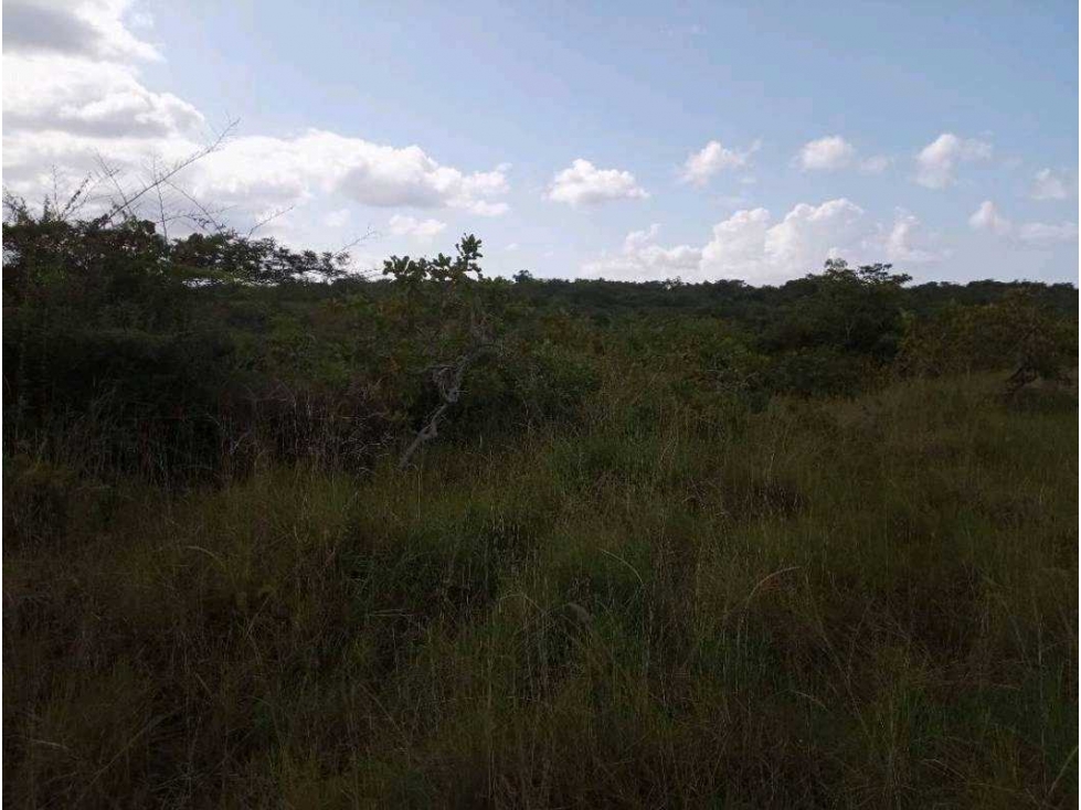 VENDO TERRENO CON VISTA LEJANA AL MAR Y A LA INDIA DORMIDA EN COCLE. - 6