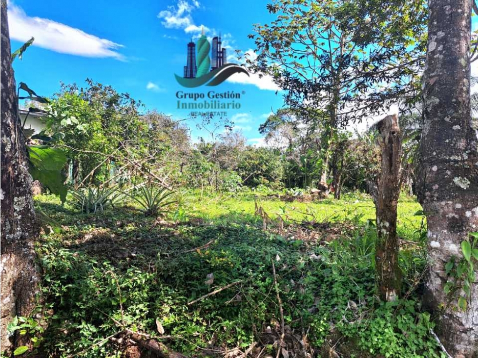 VENDO TERRENO DE 5390mts TOPOGRAFIA PLANA - 2