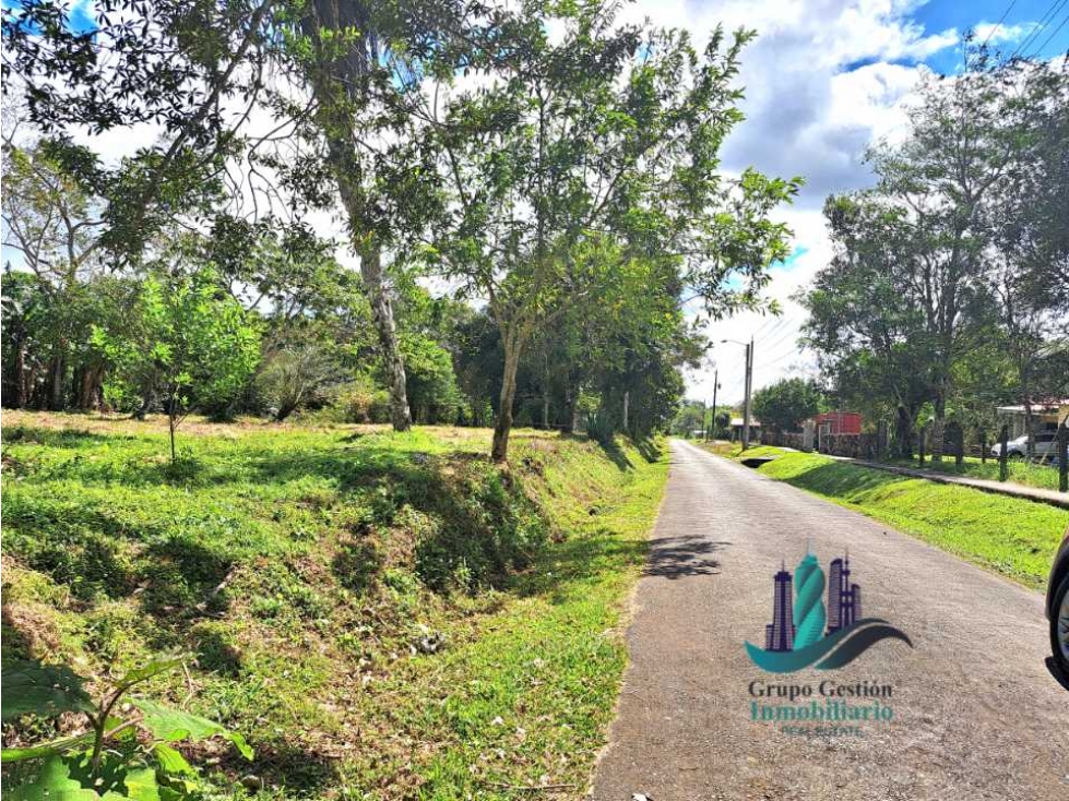 VENDO TERRENO DE 5390mts TOPOGRAFIA PLANA - 3
