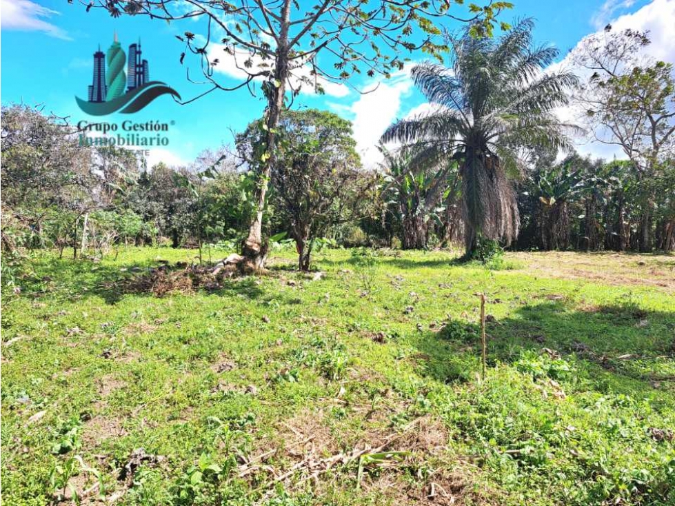 VENDO TERRENO DE 5390mts TOPOGRAFIA PLANA - 5