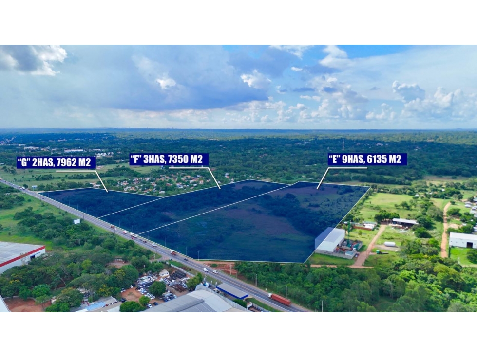 VENDO TERRENO DE 16 HECTAREAS EN YPANE SOBRE ACCESO SUR - 4