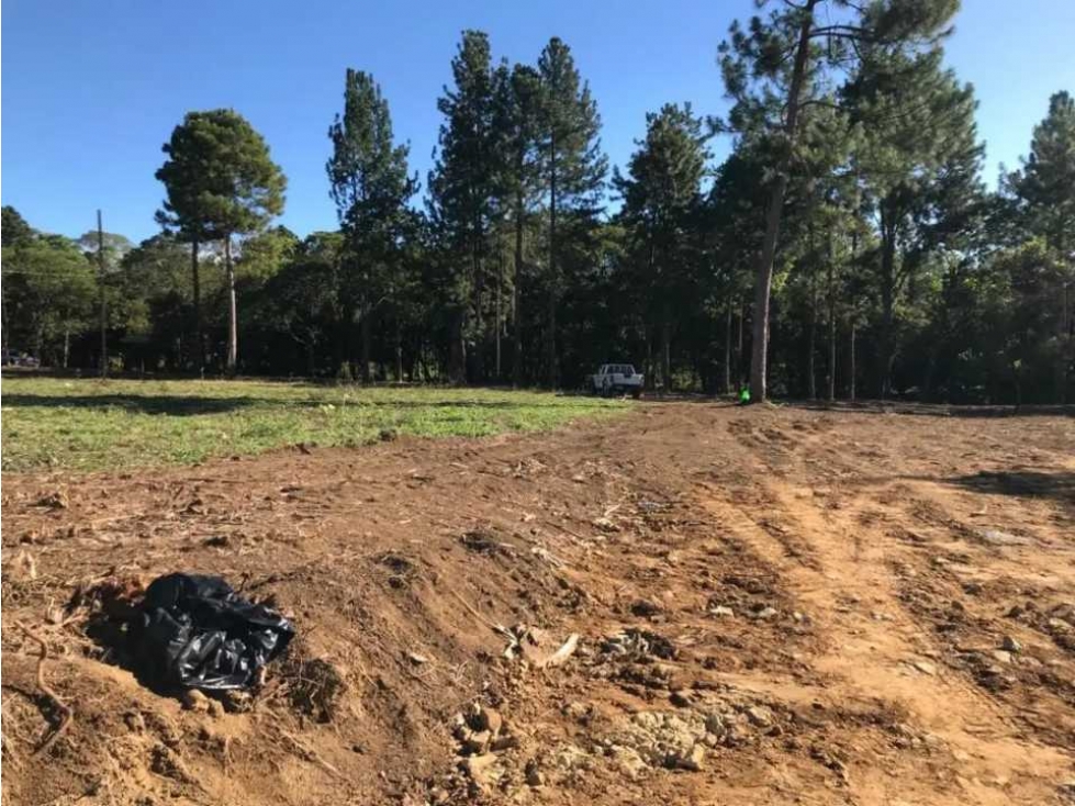VENDO TERRENO DE 1.9 HECTAREA POTRERILLOS - 1