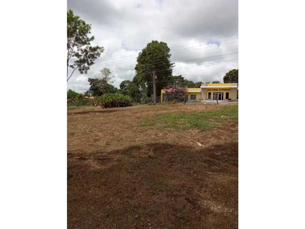 VENDO TERRENO DE 1.9 HECTAREA POTRERILLOS - 2