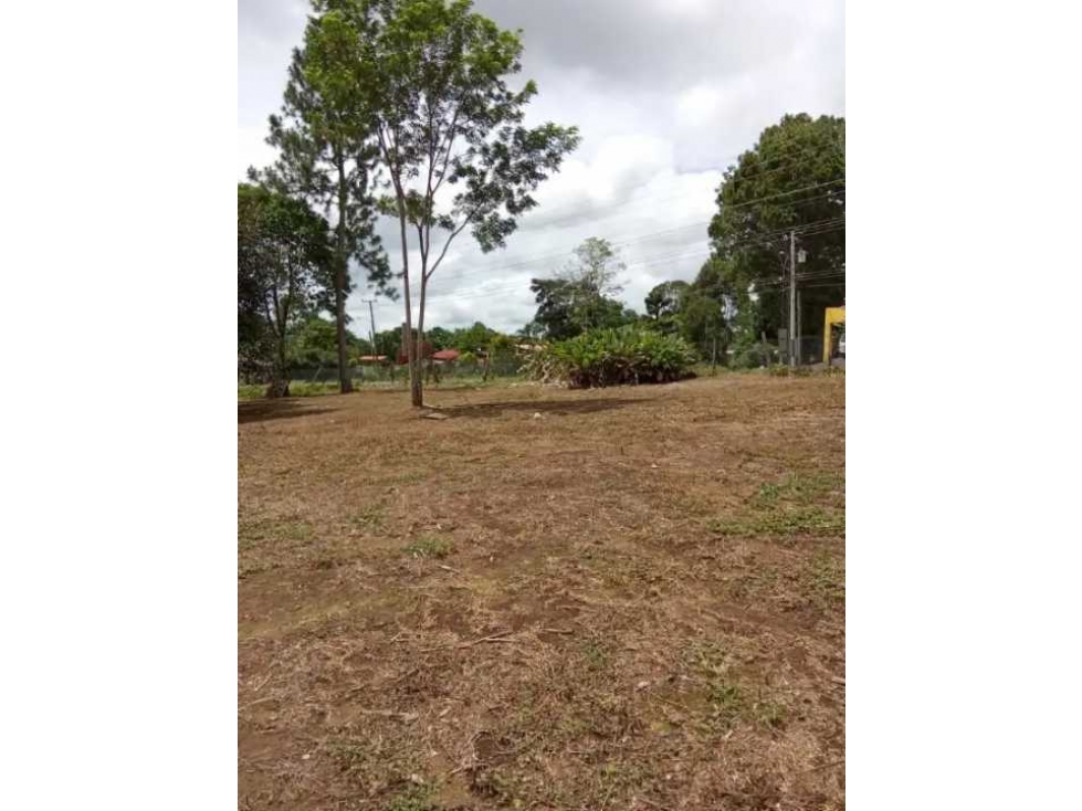 VENDO TERRENO DE 1.9 HECTAREA POTRERILLOS - 3