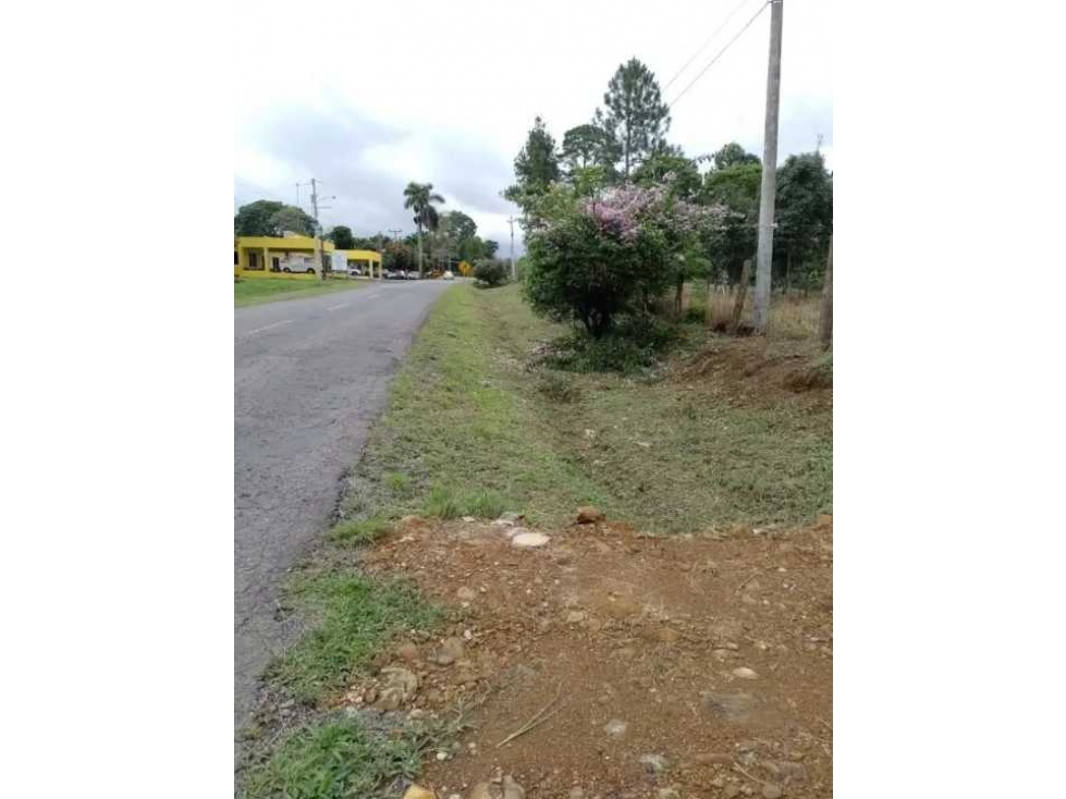 VENDO TERRENO DE 1.9 HECTAREA POTRERILLOS - 4