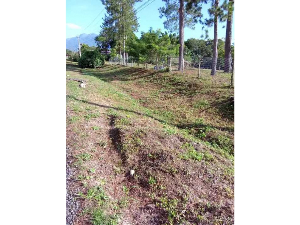 VENDO TERRENO DE 1.9 HECTAREA POTRERILLOS - 5