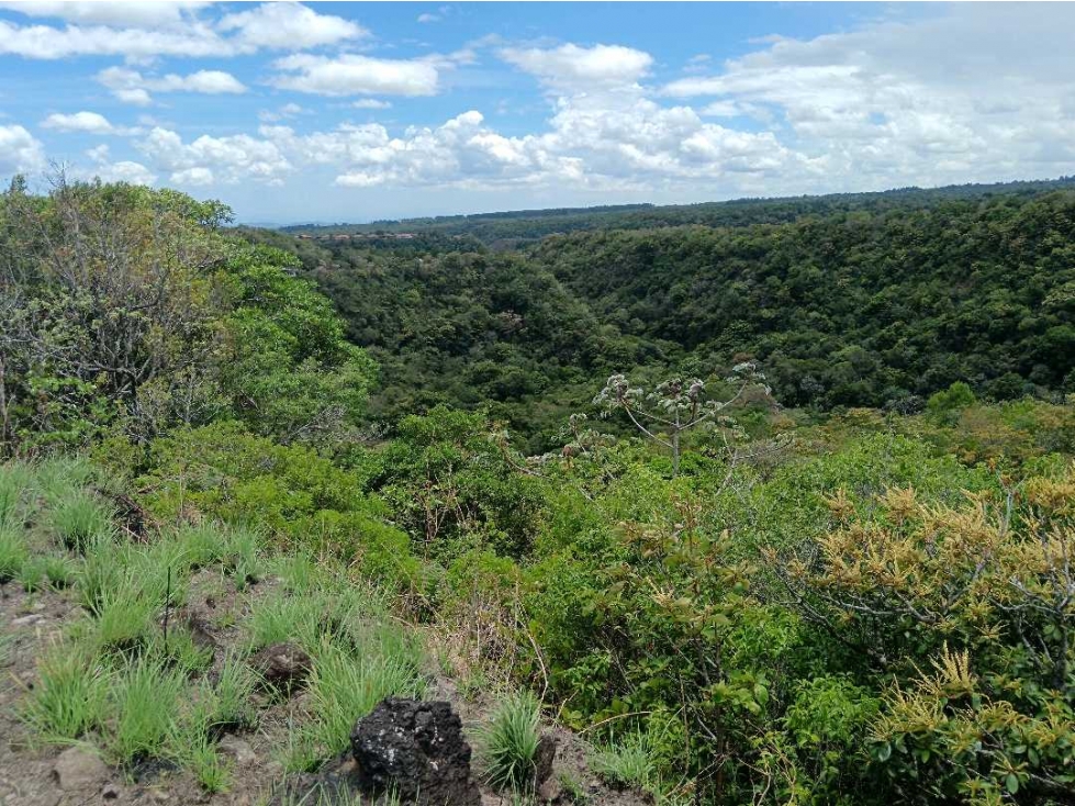 VENDO TERRENO DE 1HA EN ALTO BQT - 2
